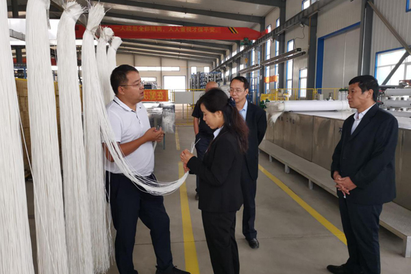 陕西航天建设集团有限公司总经理、党委副书记谢明娟率队赴辽宁一诺环保产业集团开展考察调研工作